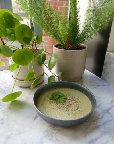 hemp protein celery soup recipe
