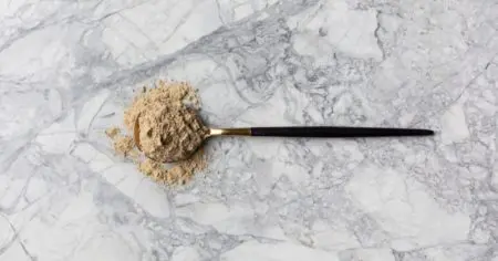 hemp protein